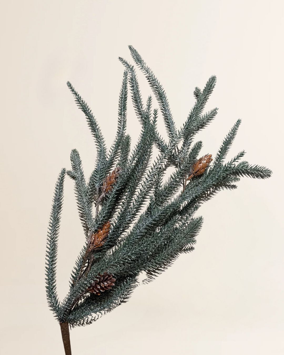 Dennentak - kleine dennenappels