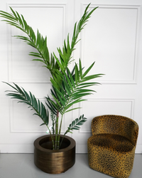 Kentia palm - 180cm  - Zijden plant - Kunst plant