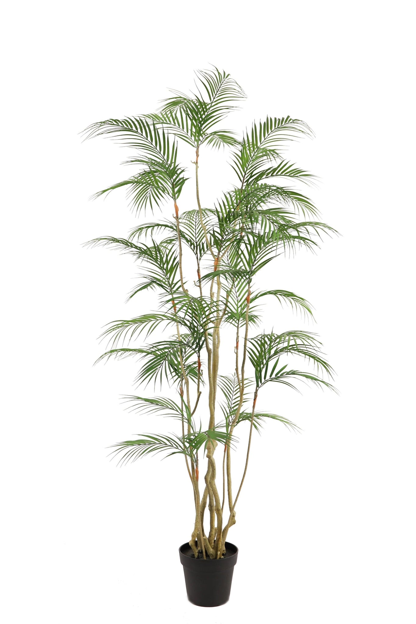 Tropische Areca palm kunstplant 180 cm