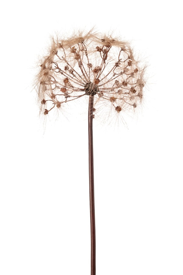 Losse zijden bloem Paardenbloem bruin 91 cm