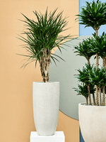 Baq-Raindrop-partner-Beige3