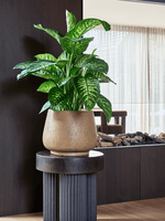 Baq_Raindrop_Darcy_Beige-2