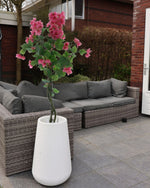 Bougainvillea-boom-in-pot-Roze-120cm