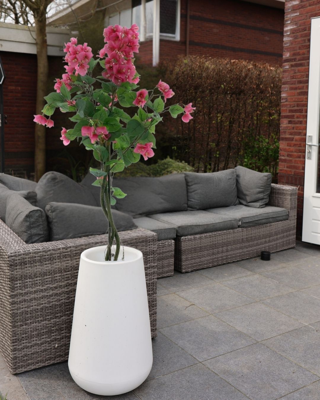 Bougainvillea-boom-in-pot-Roze-120cm