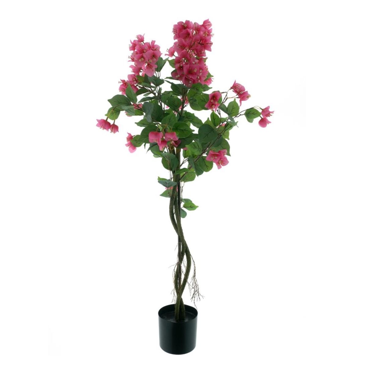 Bougainvillea-boom-in-pot-Roze-120cm1