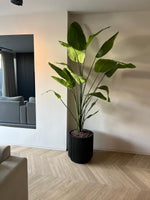 Capi-Nature-Groove - H46cm|B43cm|D39cm|Ø43cm1