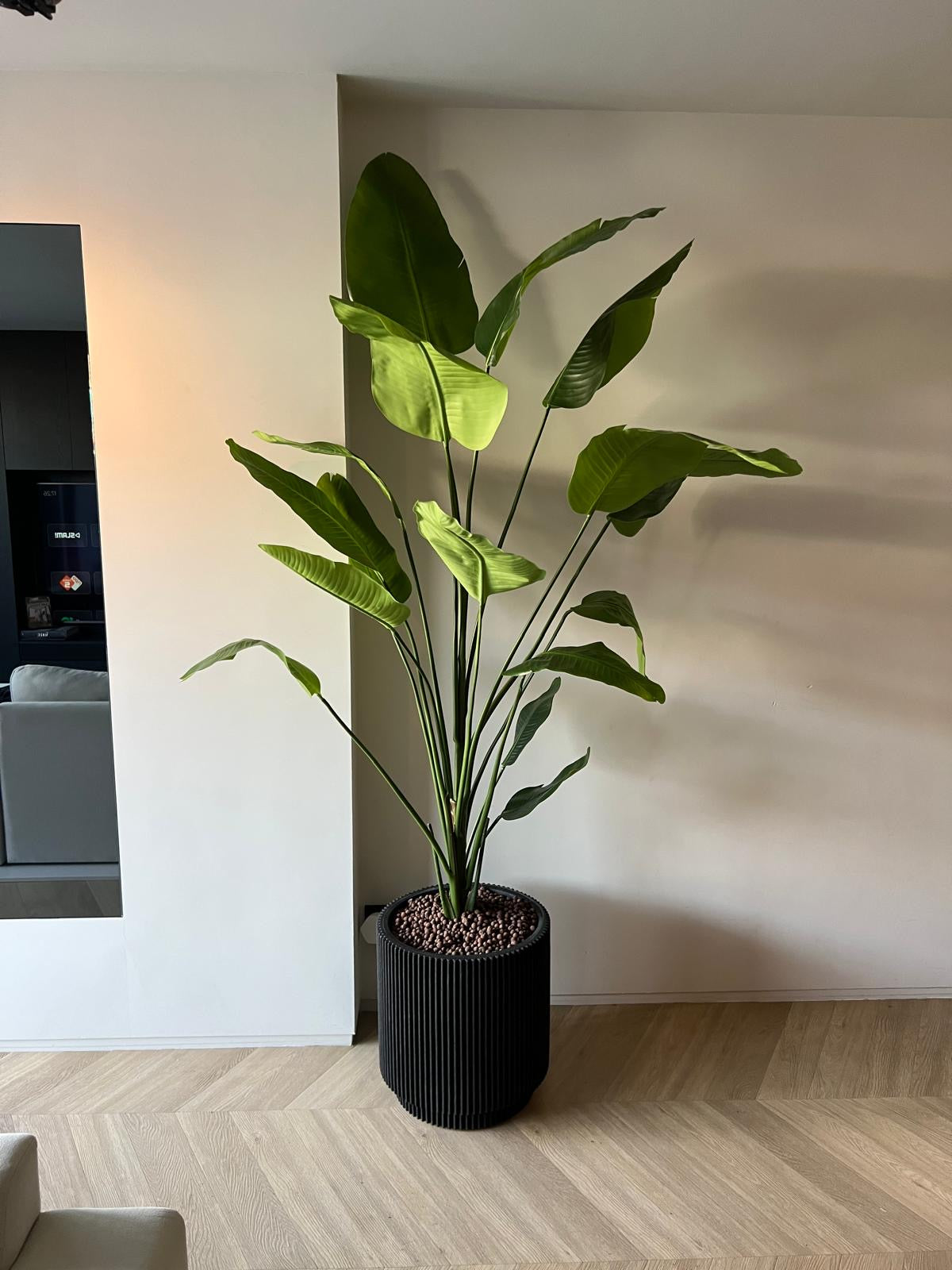 Zijden plant Strelitzia plant 180cm – productfoto