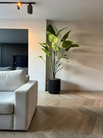 Capi-Nature-Groove - H46cm|B43cm|D39cm|Ø43cm3