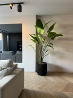 Capi-Nature-Groove - H46cm|B43cm|D39cm|Ø43cm4
