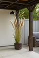 Pampas Grass 13 Heads In Pot Pvc Green/Orange Large