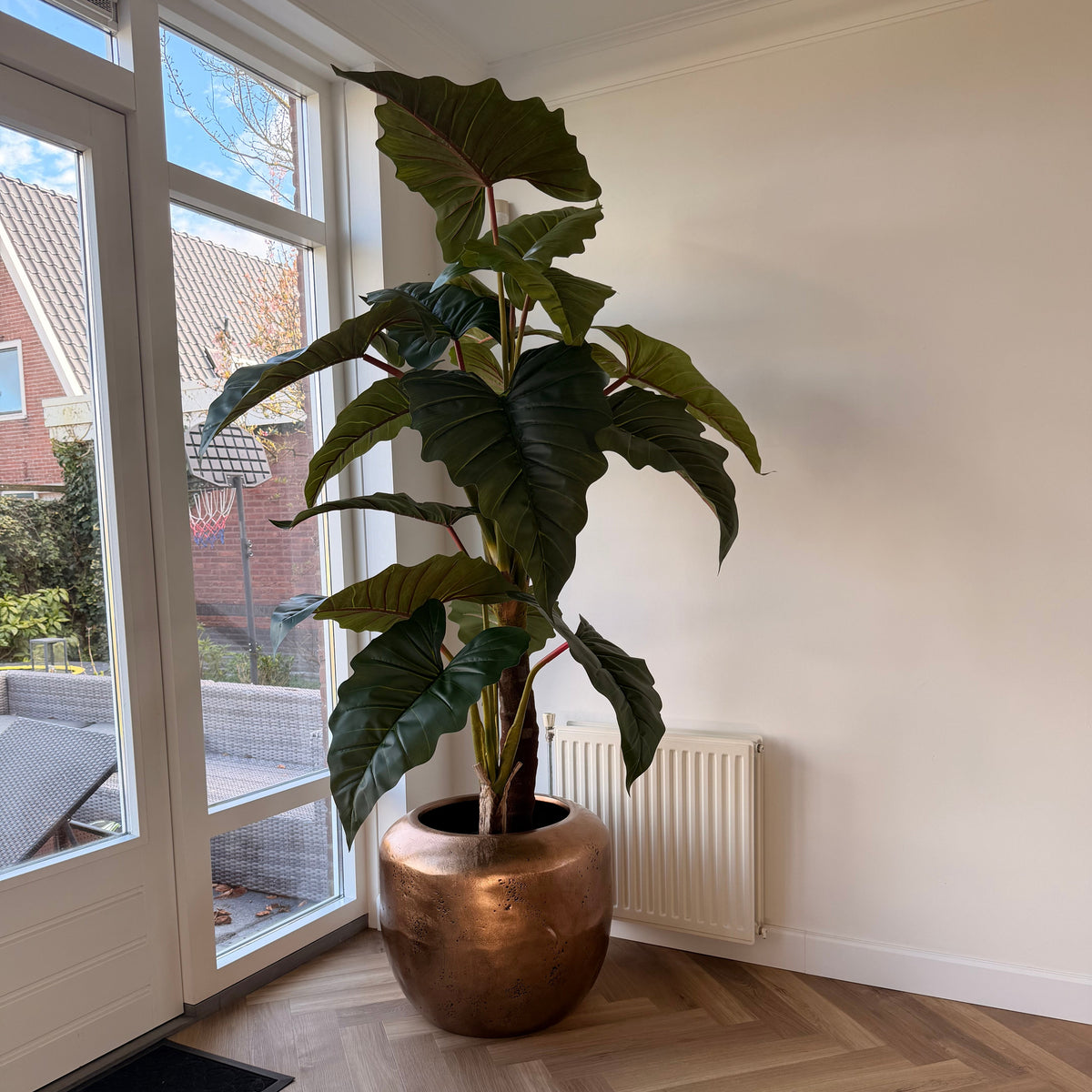 Caladium Gigantium zijden plant – 220 cm – productfoto