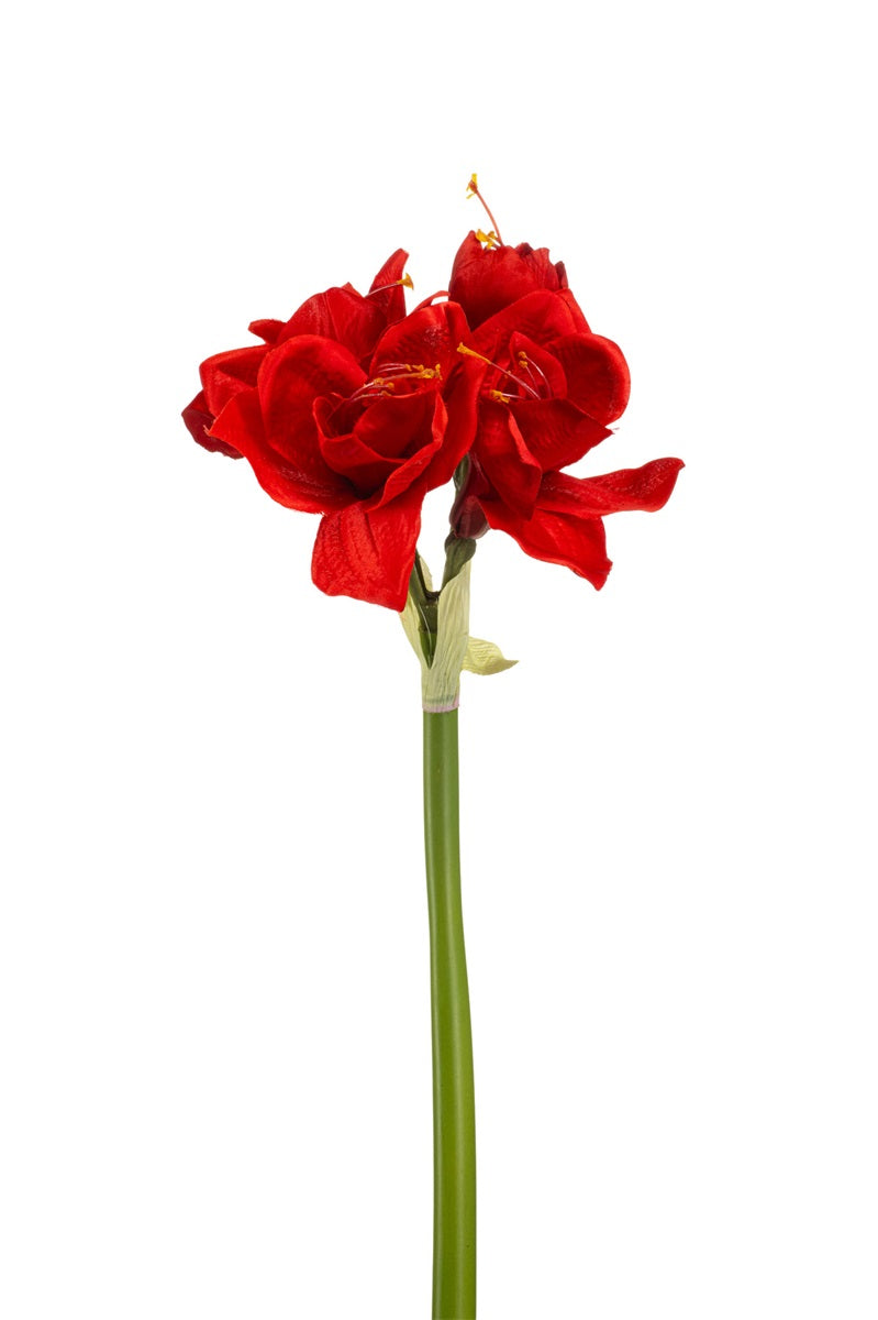 Losse zijden bloem Amaryllis crème 72 cm