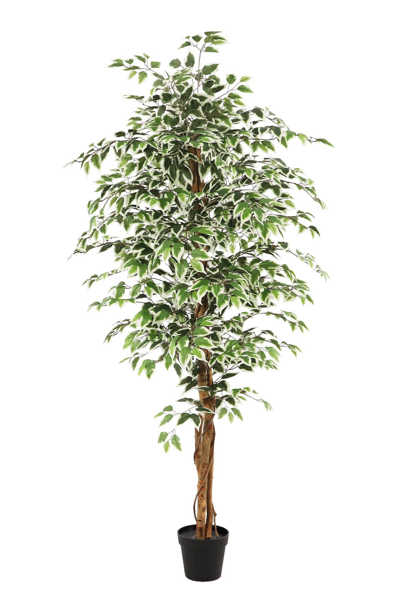 Kunstplant Ficus groen 180cm