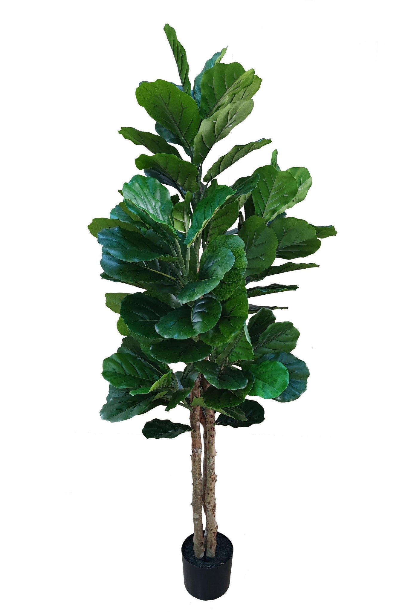 Fiddle Leaf Fig kunstplant 160 cm - Stijlvolle vioolbladplant