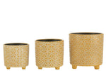 Flowerpot-Flower-Ceramic-Ochre1