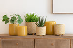 Flowerpot-Flower-Ceramic-Ochre3