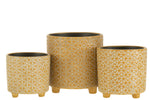 Flowerpot-Flower-Ceramic-Ochre4
