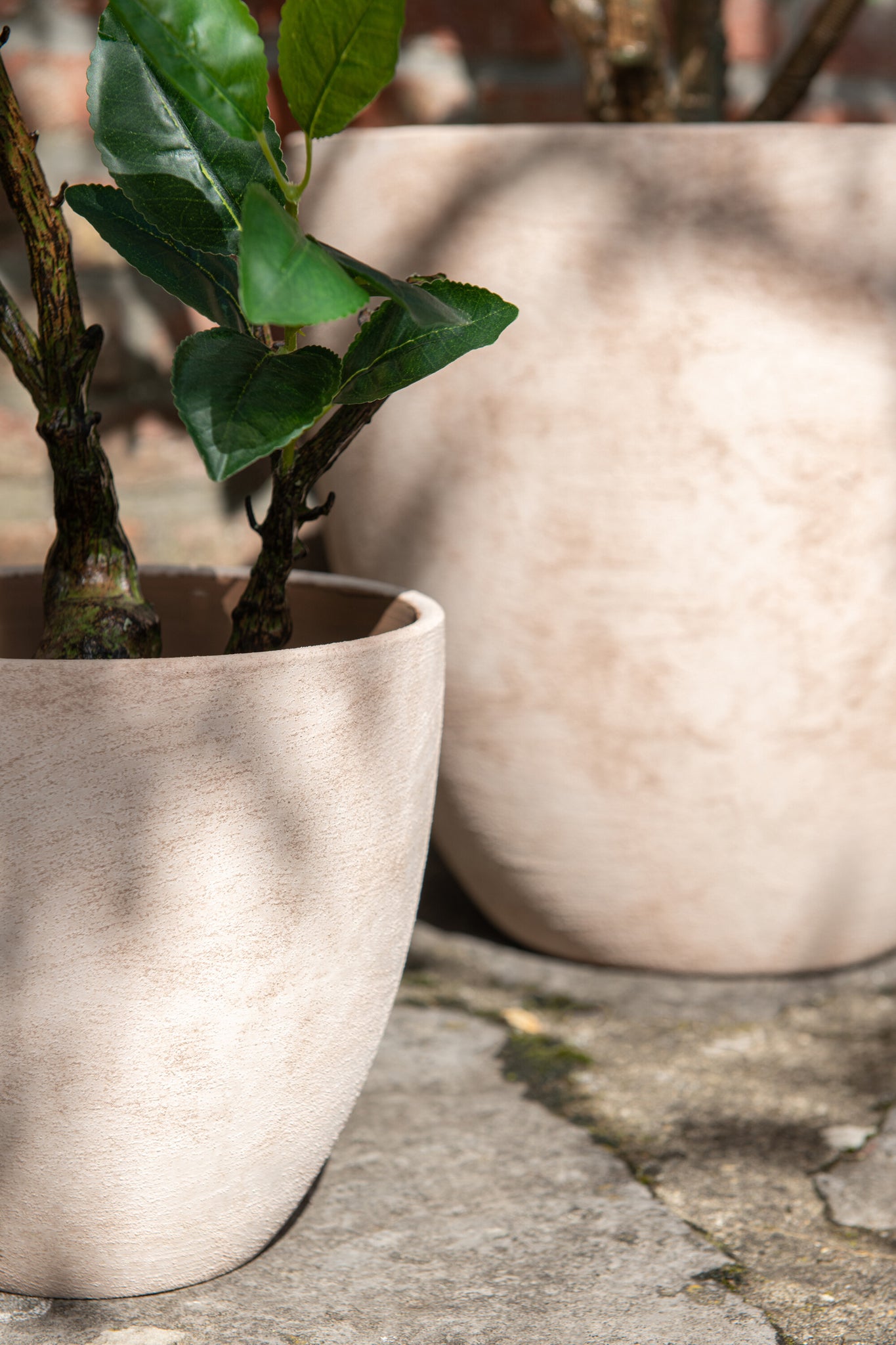 Flowerpot-Round-Pottery-Light-Beige-Extra-Large2