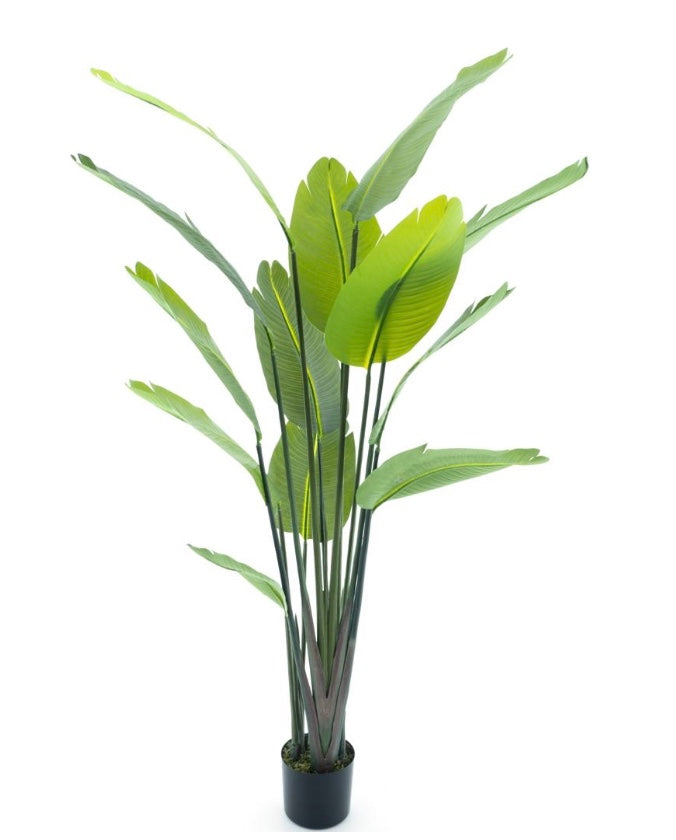 Strelitzia palm - 187cm - kunstplant - zijdenplant