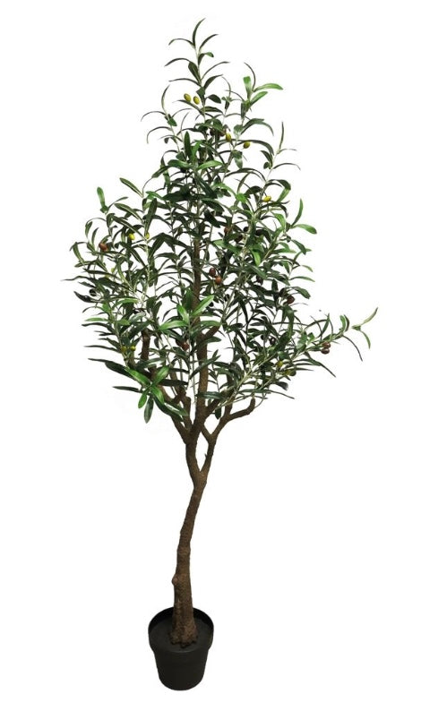 Olijfboom - 150cm - kunstplant - zijdenplant