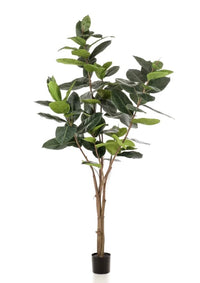 Ficus  Elastica- Janice blok - Zijden plant - Kunst plant - 180cm