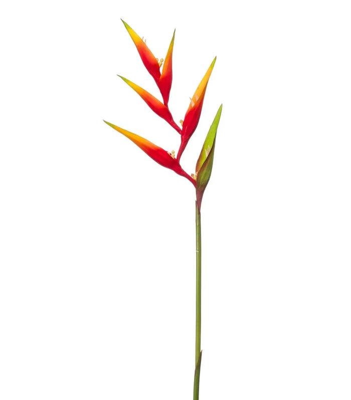 Heliconia spray red/yellow 80cm- Zijden bloem - Kunst bloem -duurzaam