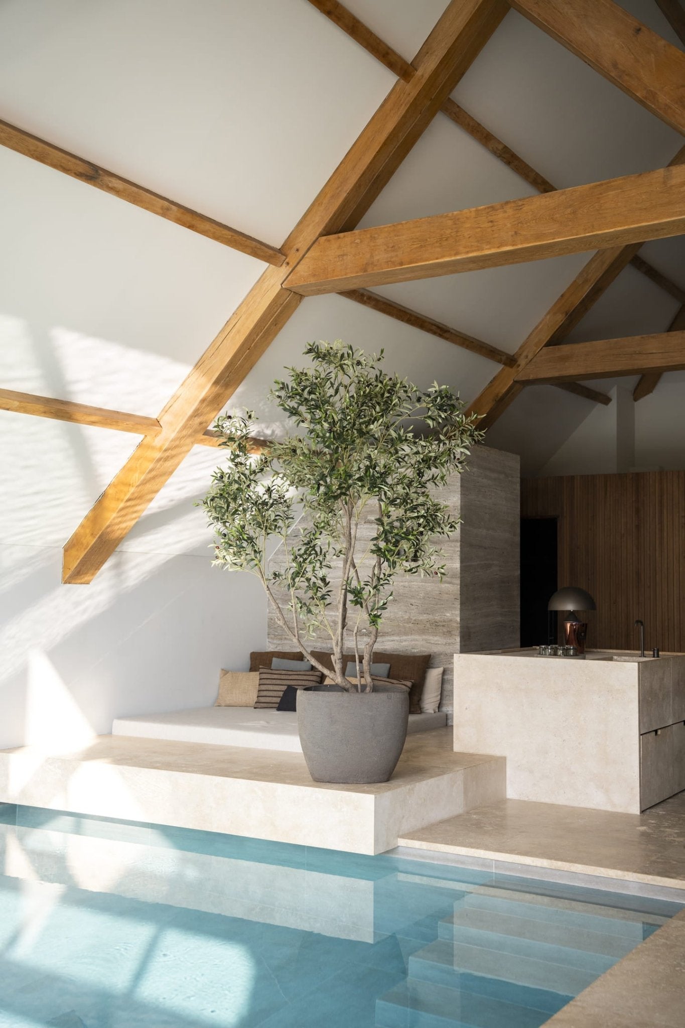 Grote kunst olijf boom van 260 cm - perfect voor mooie grote woonkamers en kantoorpanden