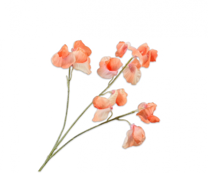 LATHYRUS TAK PERZIK 66 cm- Zijden bloem - Kunst bloem -duurzaam