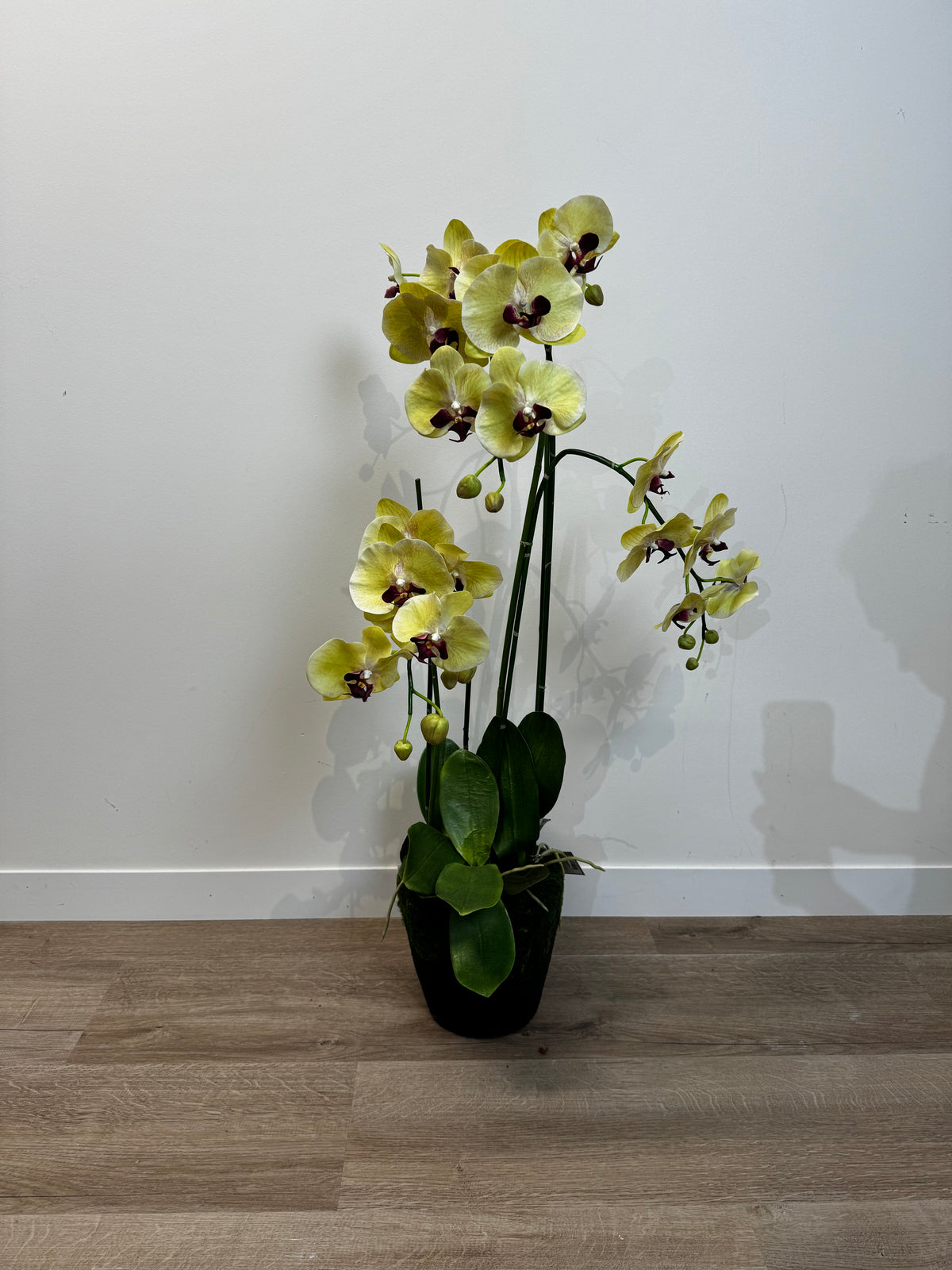 Zijden plant - Sale - Orchidee - silkka