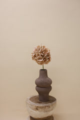 Hortensia steel bruin licht 72 cm