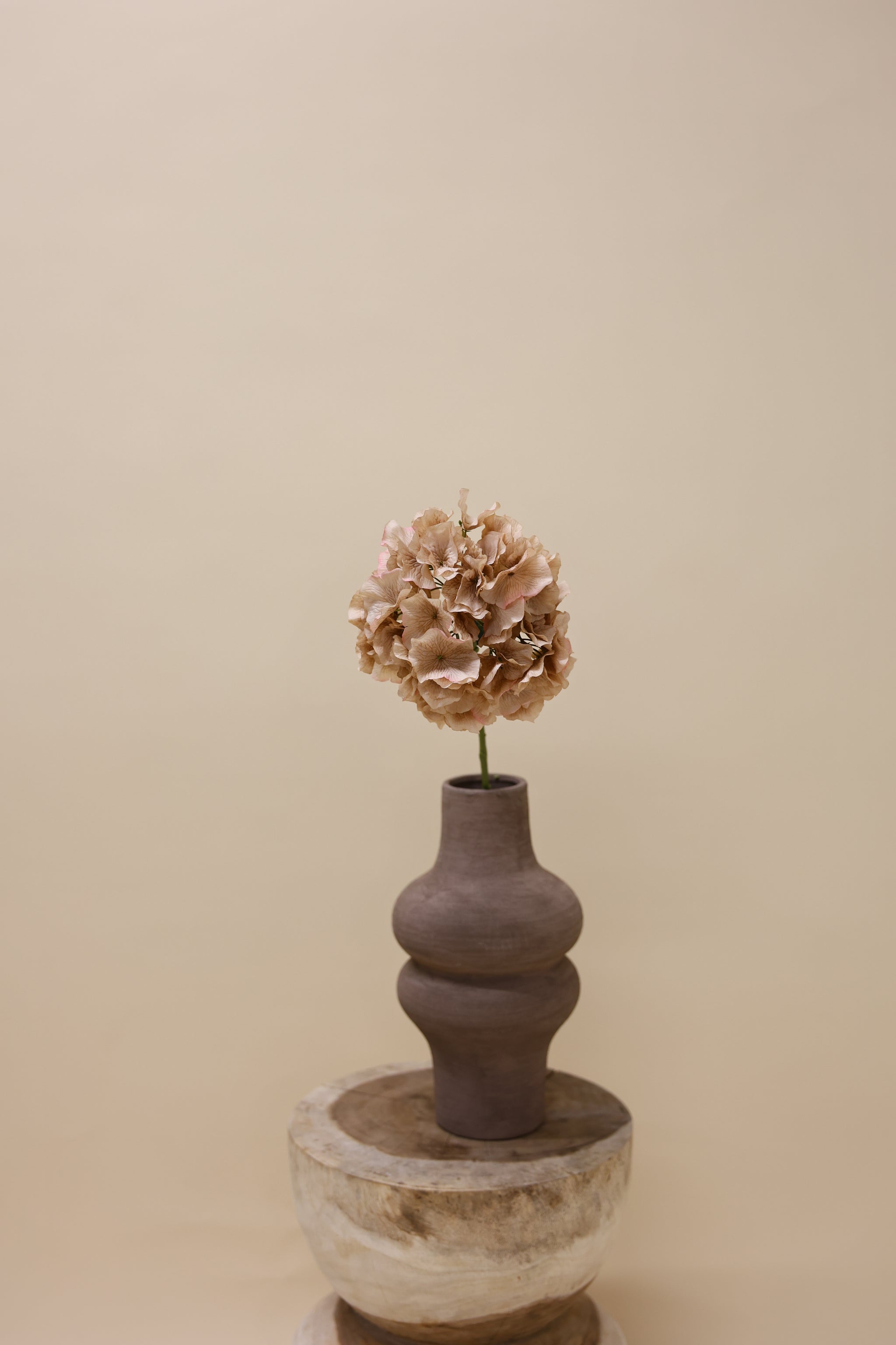 Hortensia steel bruin licht 72 cm