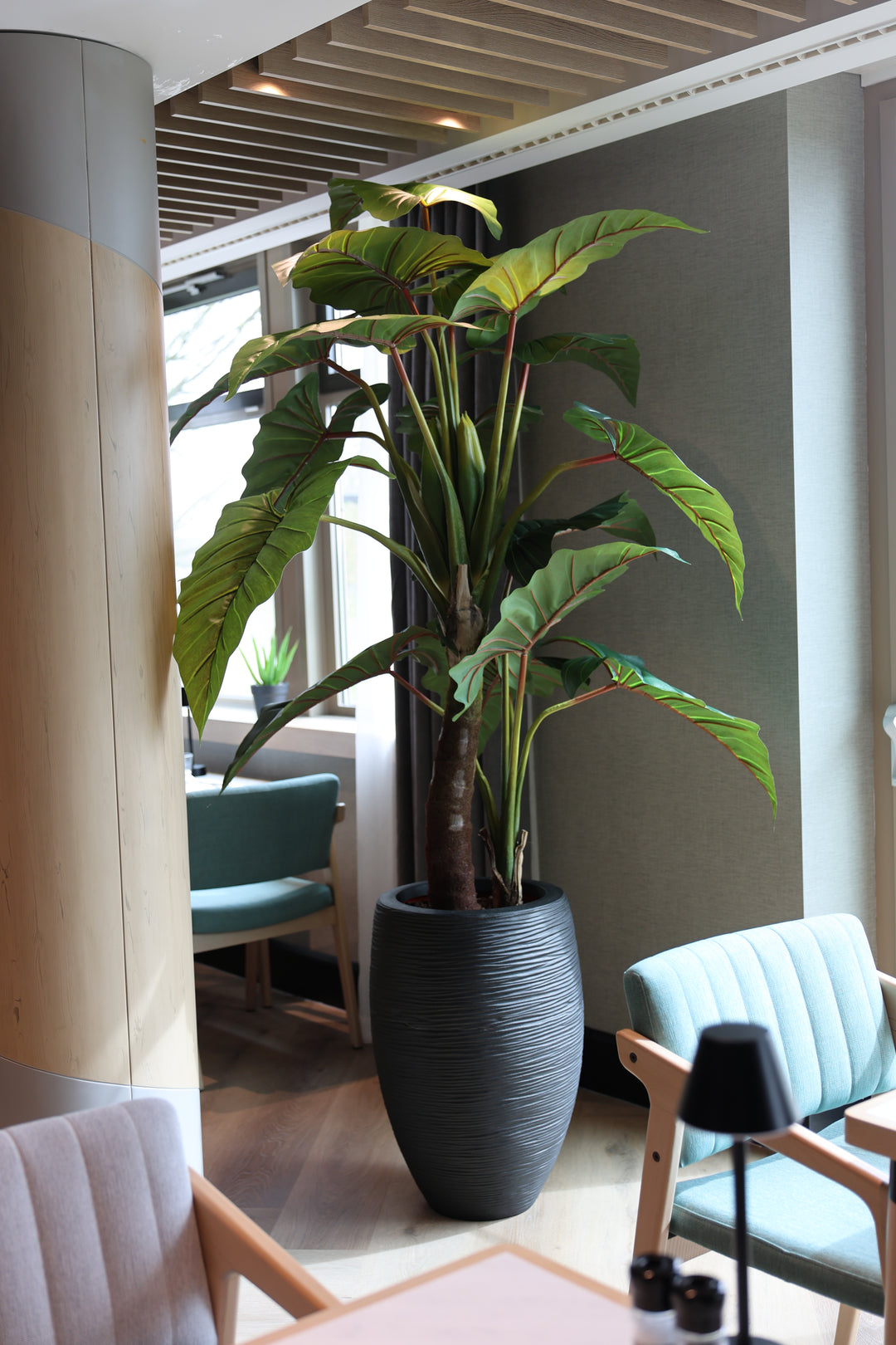 Caladium Gigantium zijden plant – 220 cm