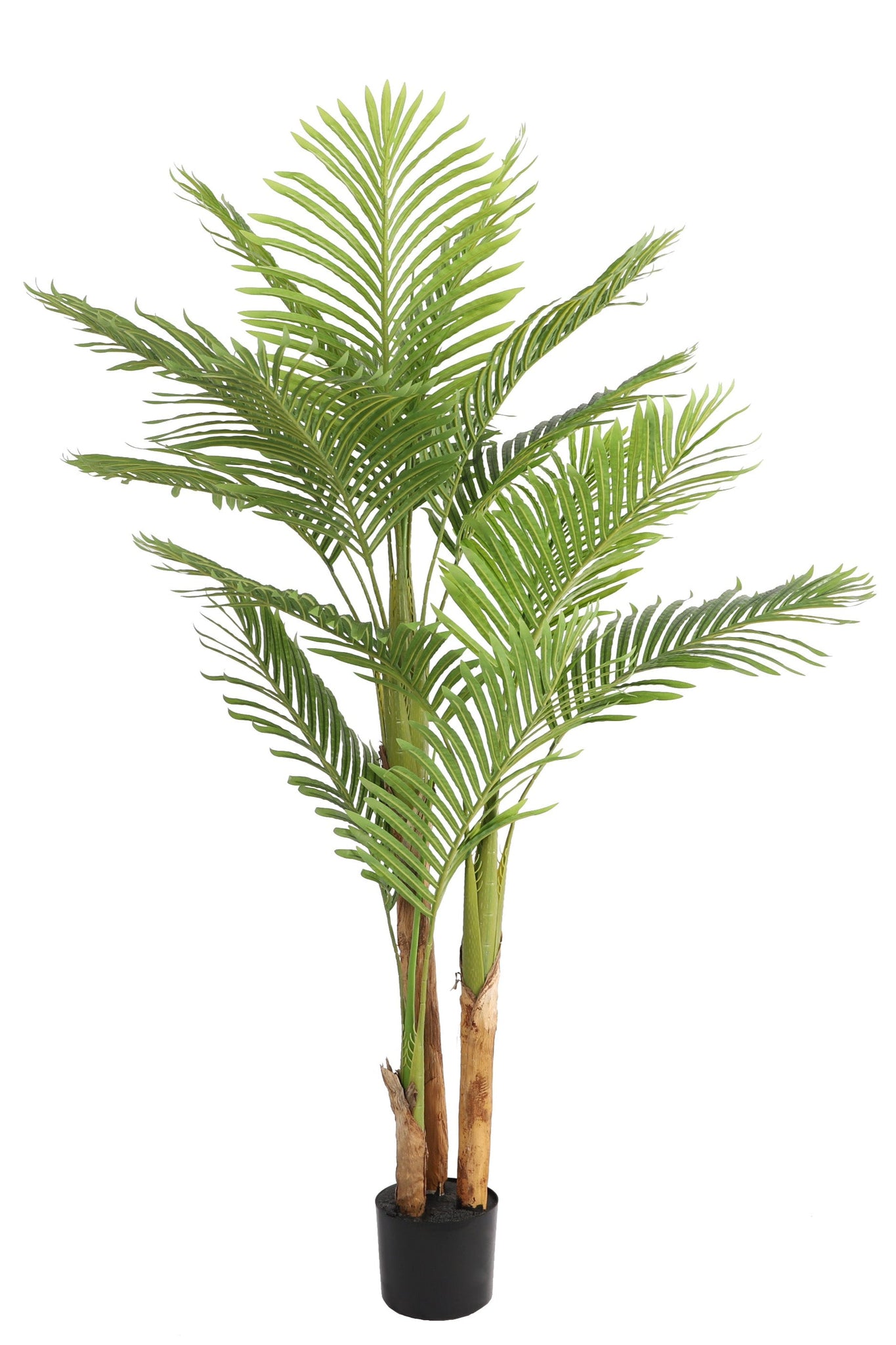Kentia palm kunstplant 170 cm - Tropisch design voor binnen