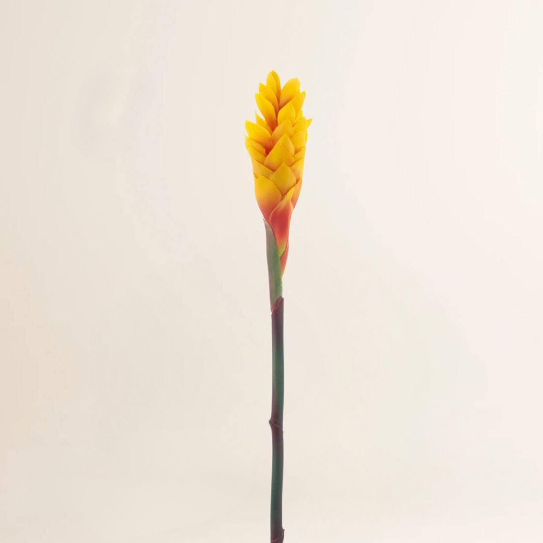 Losse zijden bloem Torch ginger spray oranje 79 cm