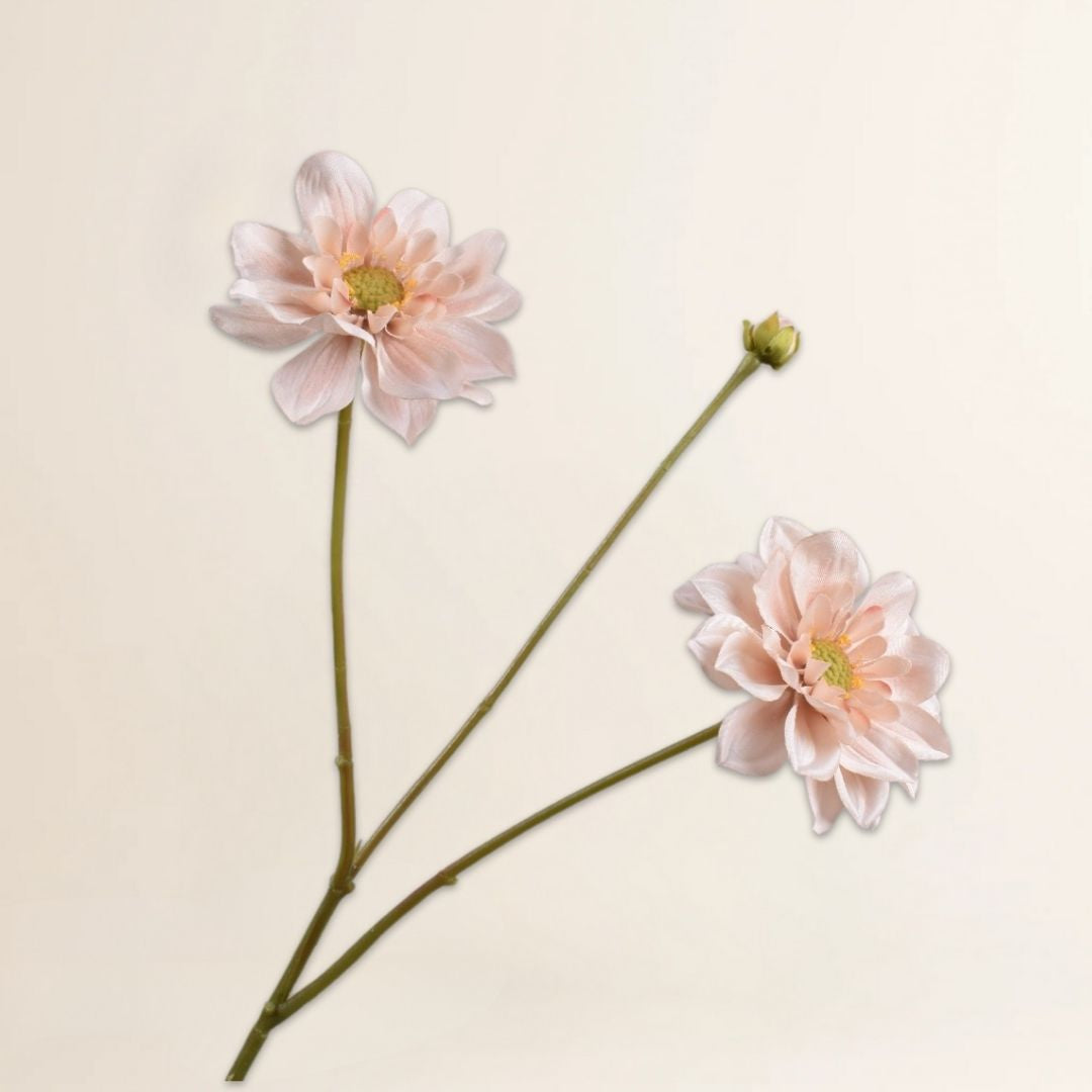 Dahlia tak Brn Lt 75 cm