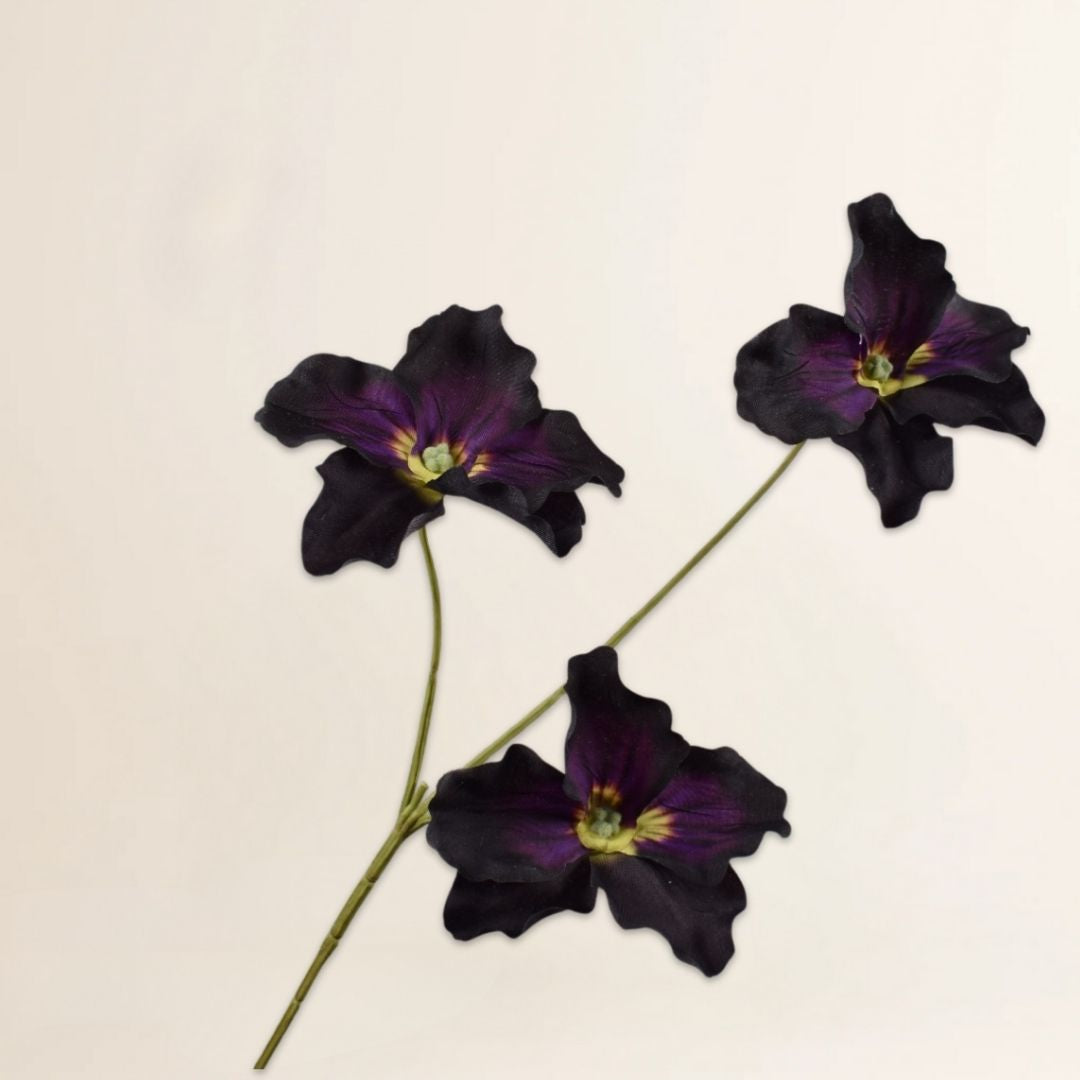 Viooltak Bordeaux 65 cm