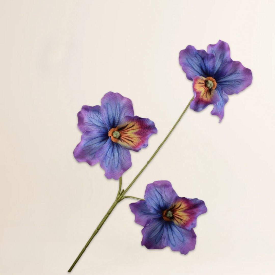 Viooltak lavendel 65 cm