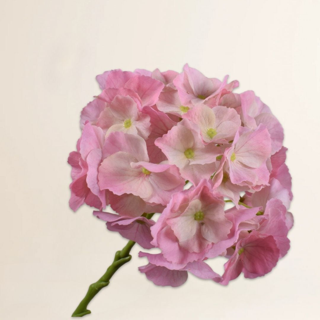 Hortensia steel roze 51 cm