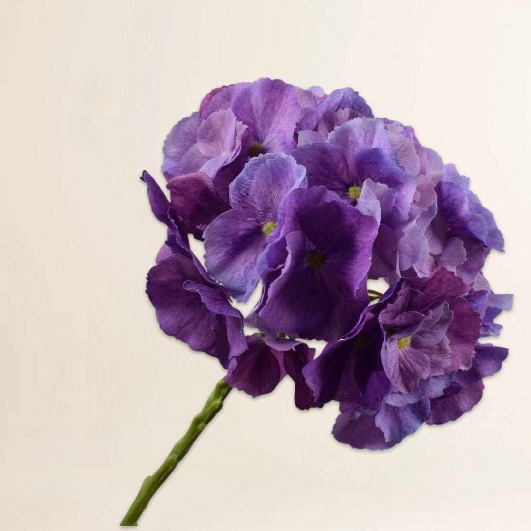 Hortensia steel paars 51 cm