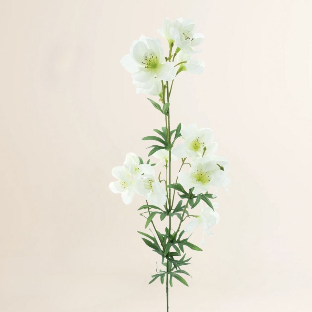 Ridderspoor Utah wit 84 cm