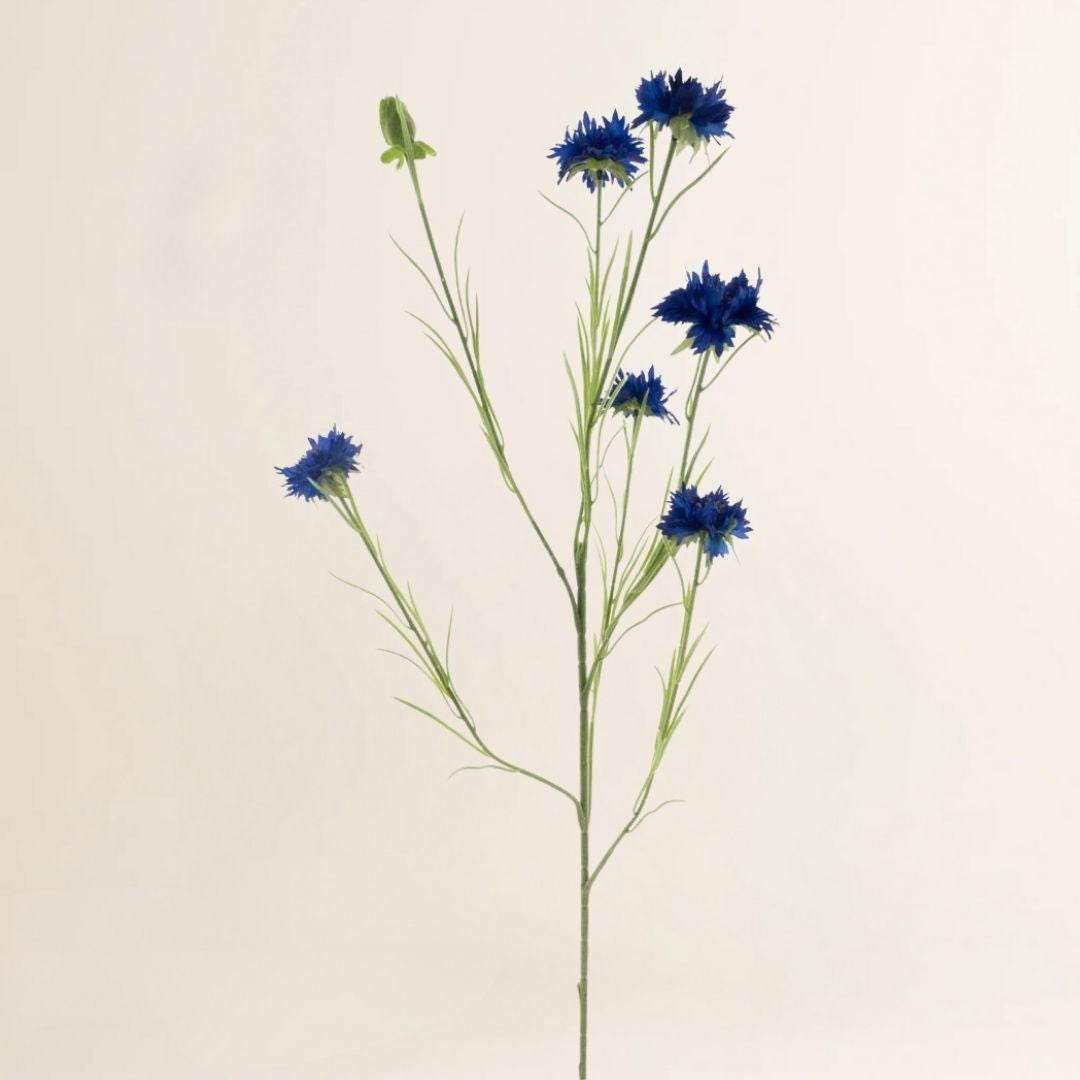 Korenbloem James donkerblauw 90 cm