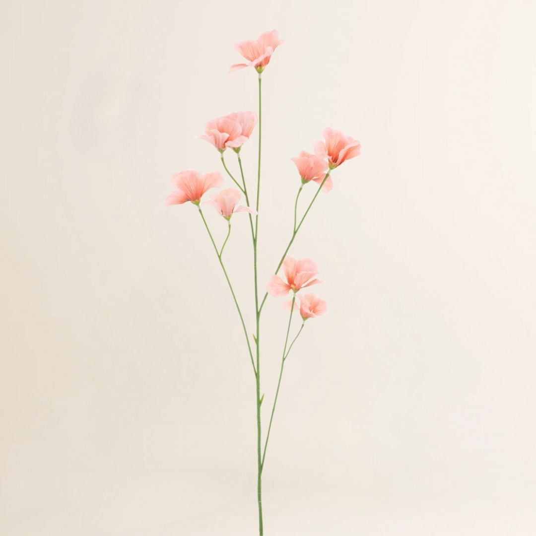 Viooltje beauty 86 cm