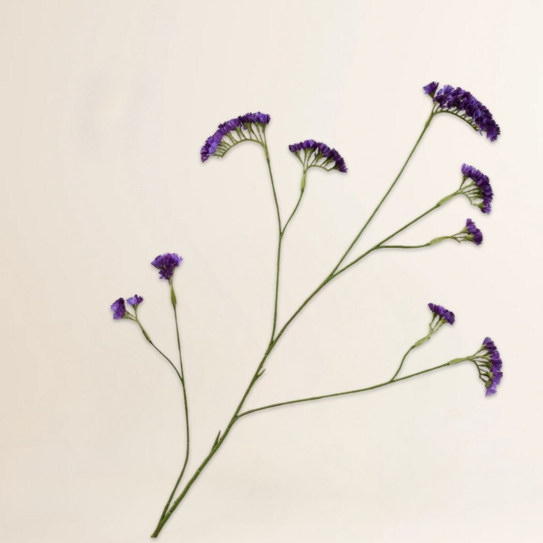 Statice tak paars 95 cm