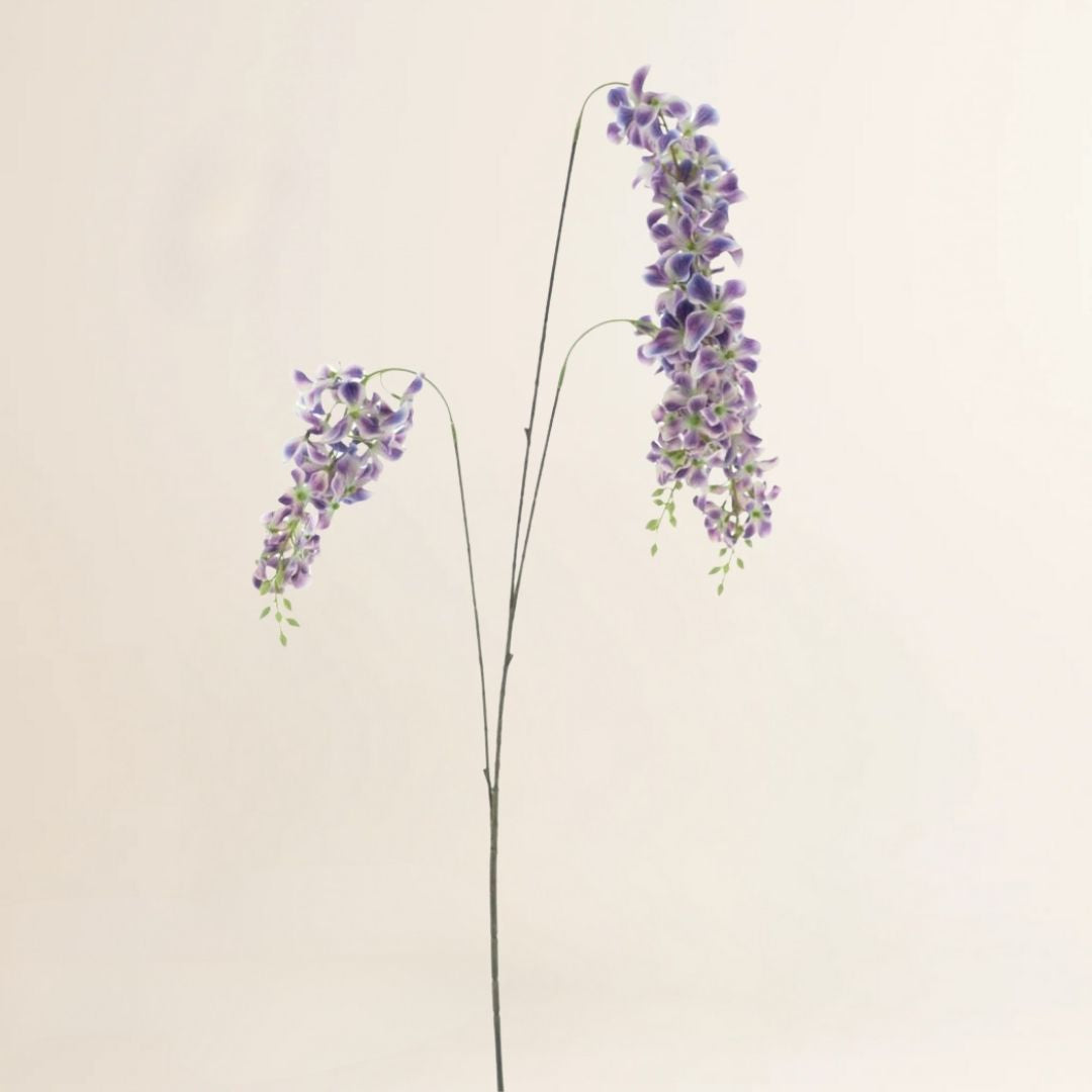 Wisteria paars 110 cm