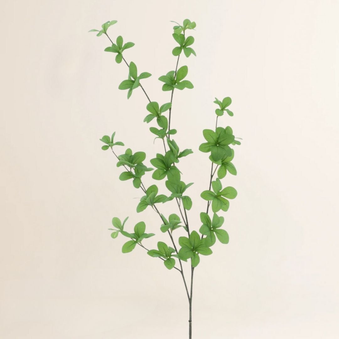 Bucida tak groen 96 cm