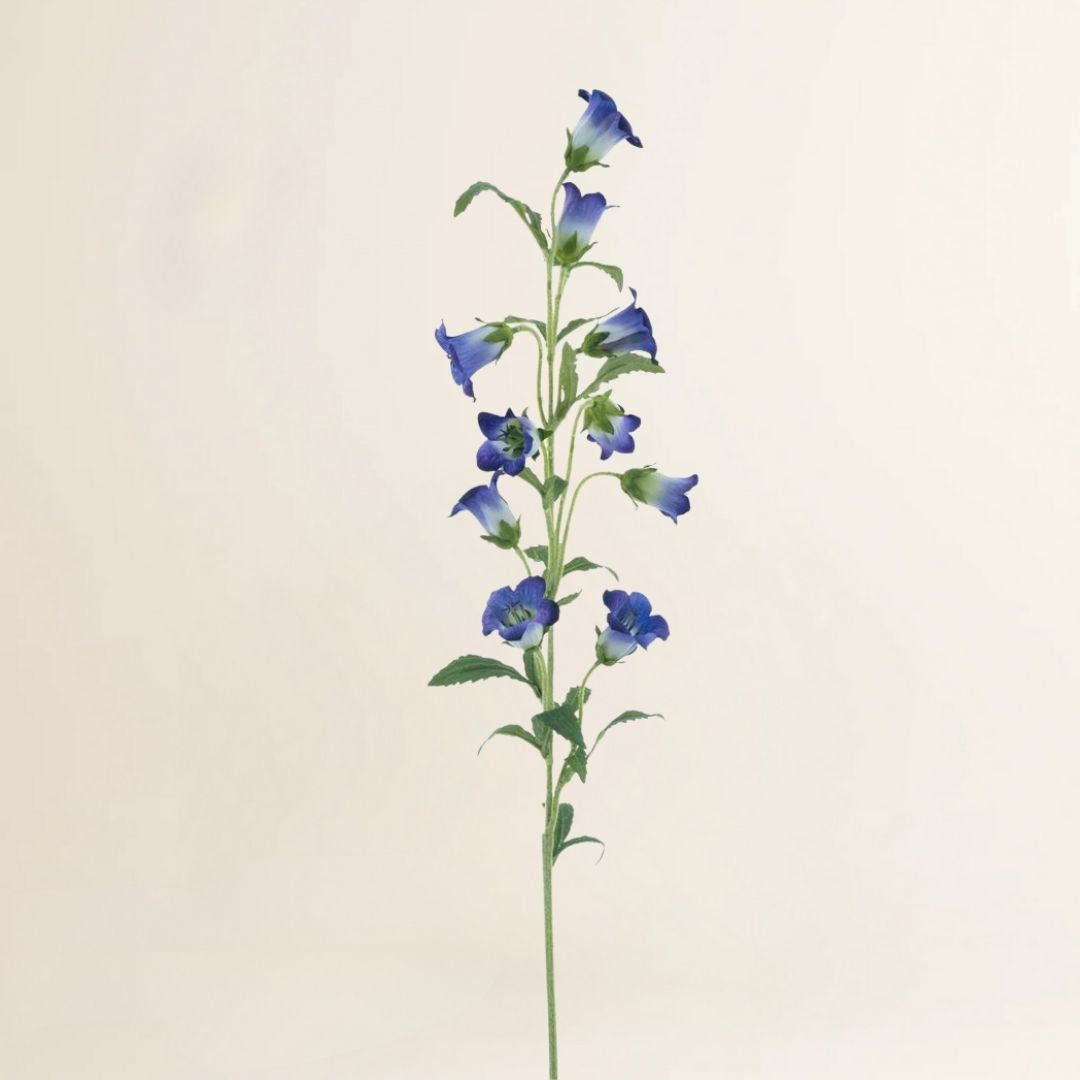 Klokjesbloem paars 88 cm