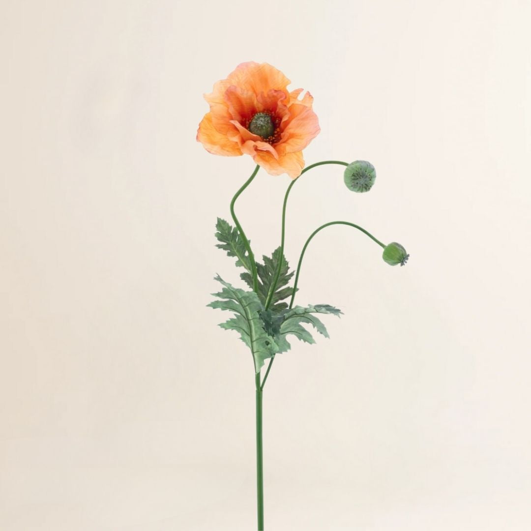 Klaproos Casper oranje 93 cm