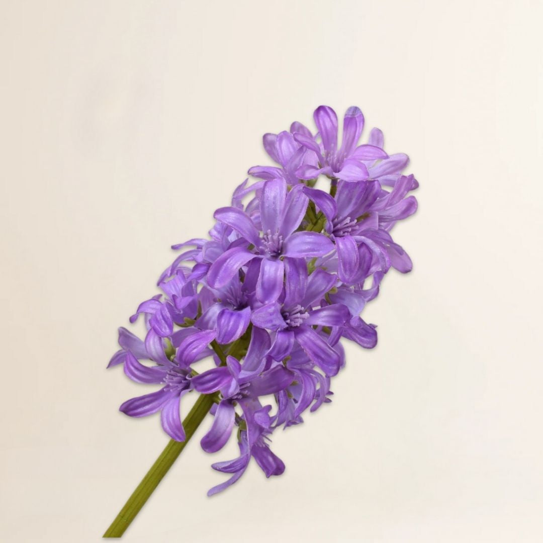 Hyacint steel lavendel 53 cm