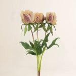 Losse zijden bloemen Pioenroos Marlie bundel 3 stuks zalm 48 cm