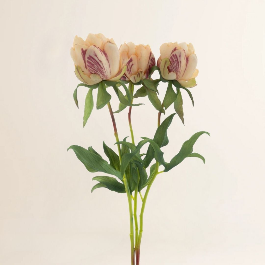 Losse zijden bloemen Pioenroos Marlie bundel 3 stuks zalm 48 cm